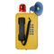 Anti - Vandal Industrial Weatherproof Telephone , Heavy Duty Telephone With Horn